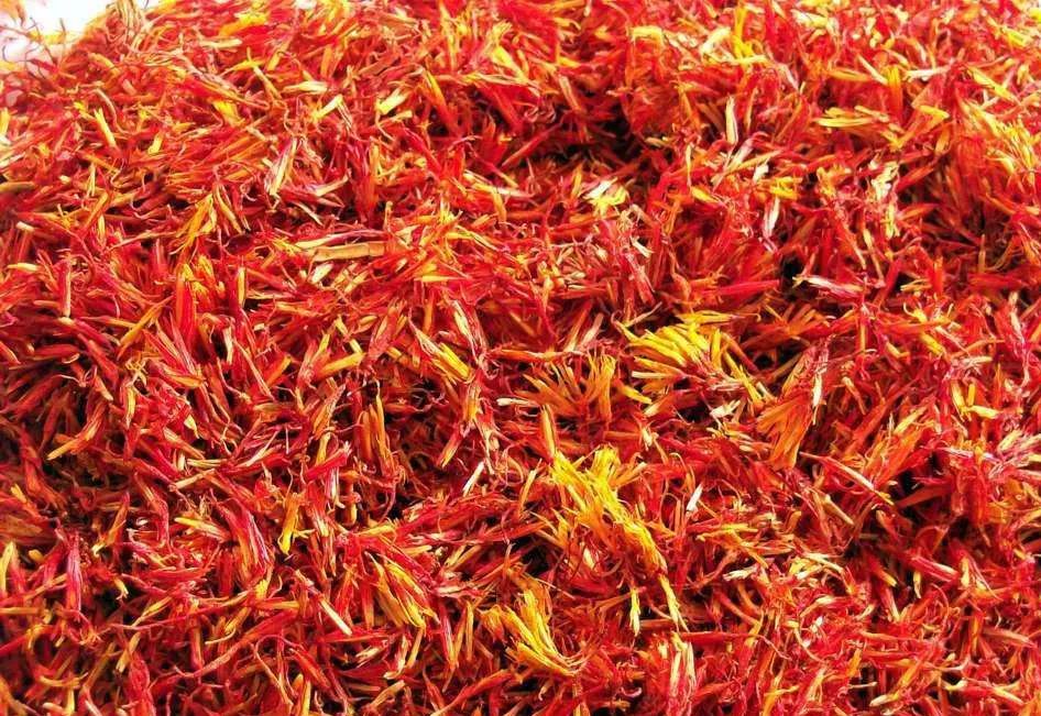 Weekly Herb Spotlight | Safflower