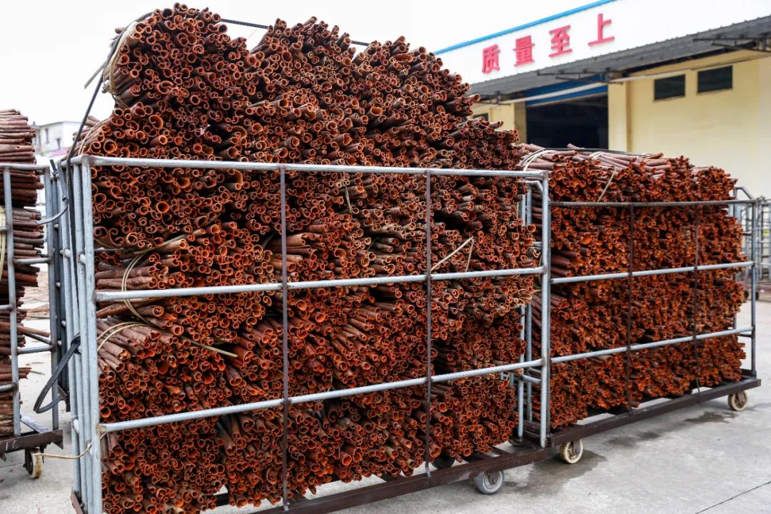 Harvesting Cinnamon: A Journey into the Heart of Traditional Cinnamon Farming