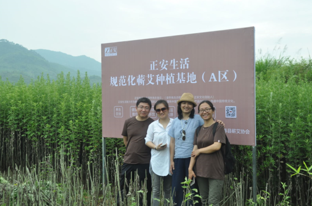 Warm Yang Method Recommended by Famous Physicians of the Yuan Dynasty, Especially Suitable for Those with Spleen and Stomach Deficiency, Qi and Blood Insufficiency, and Yang Deficiency