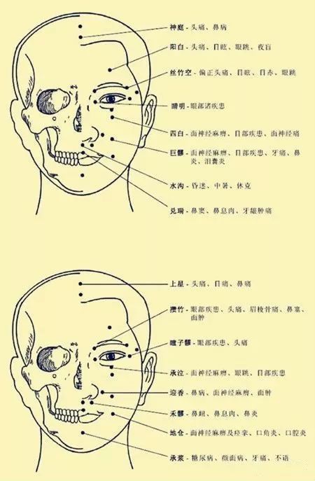 Comprehensive Human Acupuncture Points Chart and Their Functions (A Must-Bookmark)