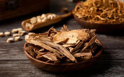 The Efficacy and Uses of Angelica Sinensis (Dong Quai) and Its Proper Consumption Methods