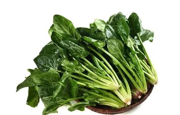 10 Essential Foods for Blood Nourishment