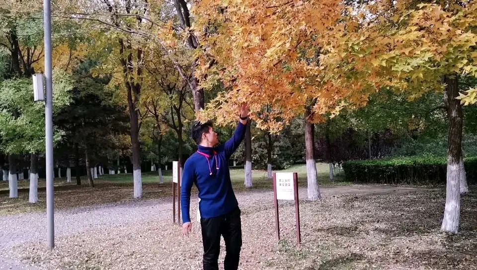 Understanding the Deep Pulse: Lecture Six by Xiao Bao