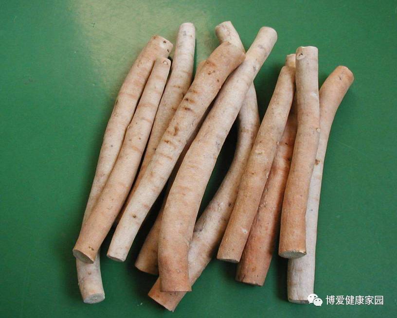 The Efficacy and Medicinal Uses of Bai Shao (White Peony)