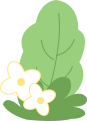 Understanding the Benefits of Chuanxiong (Ligusticum chuanxiong) for Promoting Blood Circulation and Qi Flow