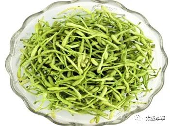 A Flower of Honeysuckle: 8 Uses for Treating 27 Diseases
