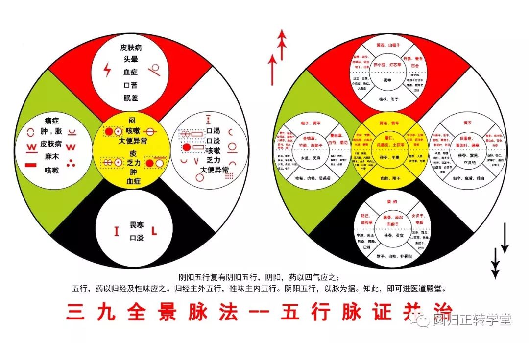 The Comprehensive Pulse Diagnosis Method of Sanjiu - Interpretation of the Xian Pulse