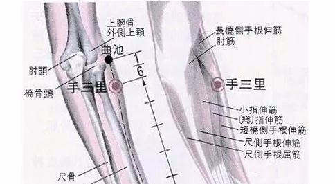 50 Common Acupuncture Points for Treating Various Ailments