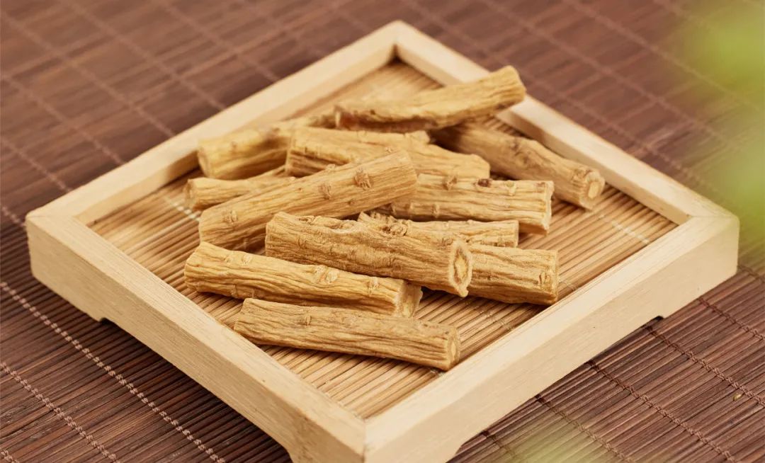Dang Shen: The "Little Ginseng" for Nourishing Qi and Blood