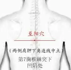 47 Unique Acupuncture Points Worth Seeing! (Collector's Edition)