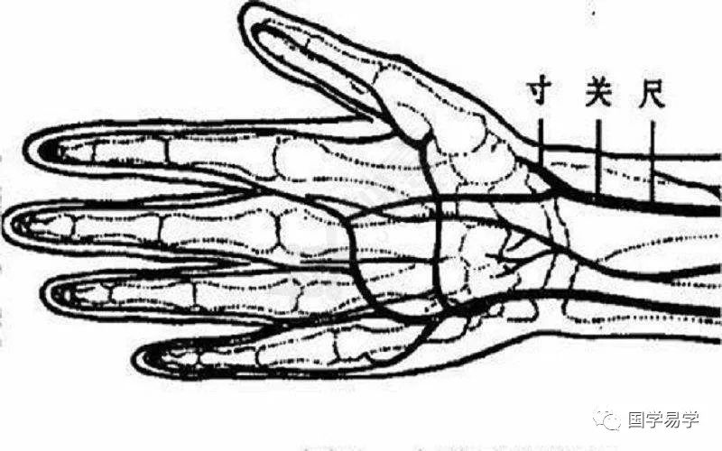 Self-Pulse Diagnosis: The Joyful Pulse