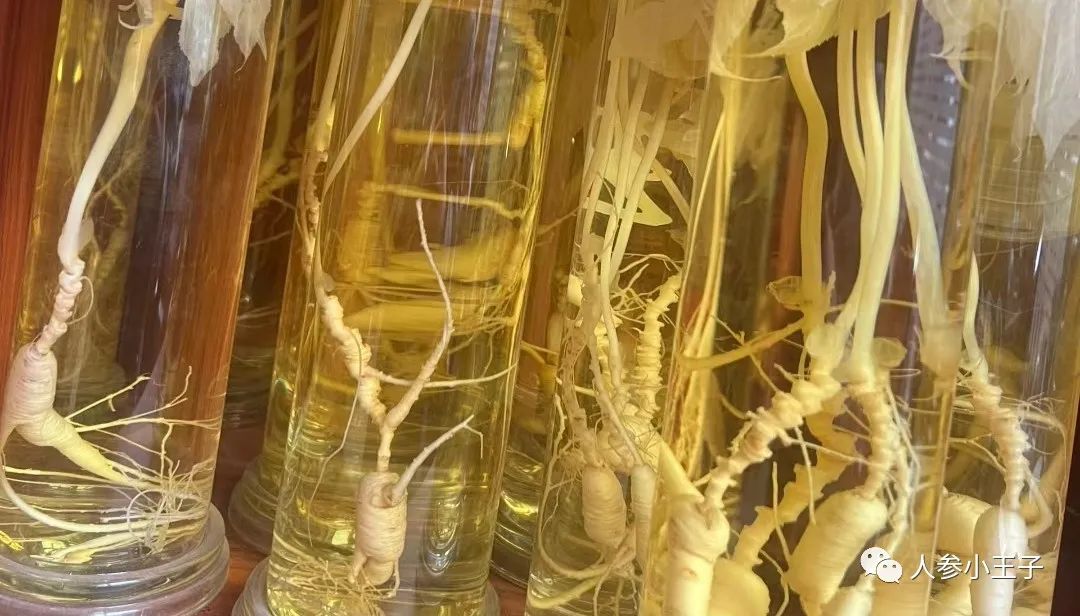 Methods of Consuming Ginseng
