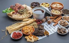Essential Knowledge of Dietary Therapy in Traditional Chinese Medicine