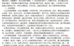 Cultivation and Care of Honeysuckle (Jin Yin Hua)