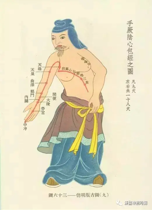 The Extraordinary Eight Meridians in Traditional Chinese Medicine