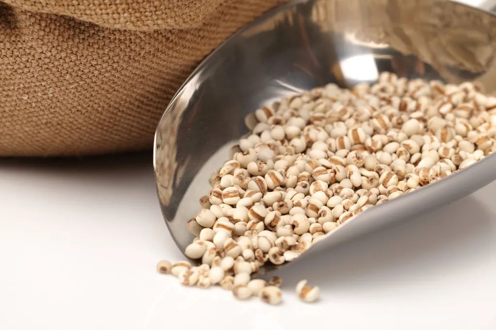 Traditional Chinese Medicine on Your Plate | Delicious and Healthy! 5 Medicinal Dishes to Make This Weekend →