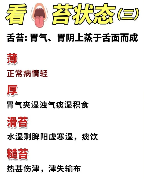 Analyzing Tongue Diagnosis: A Simple Approach to Understanding TCM