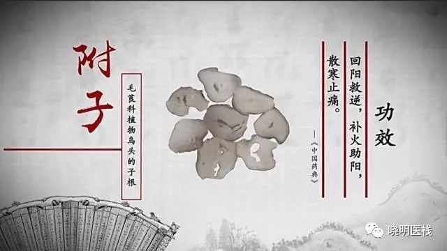 Understanding Fuzi (Aconite)