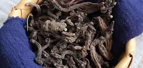 Dan Shen: More Than Just Regulating the Three Highs, Its Reasons Make It the King of Herbs Worldwide