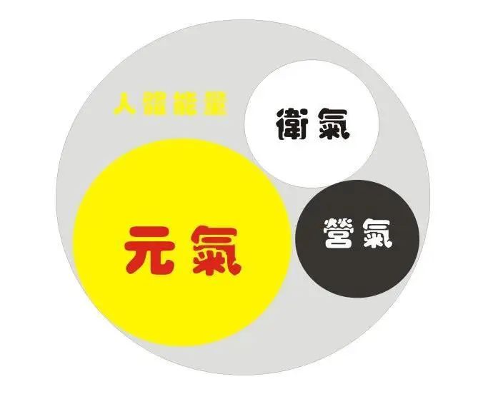 Understanding Qi Deficiency: Differentiating Between Yuan Qi, Zong Qi, Ying Qi, and Wei Qi