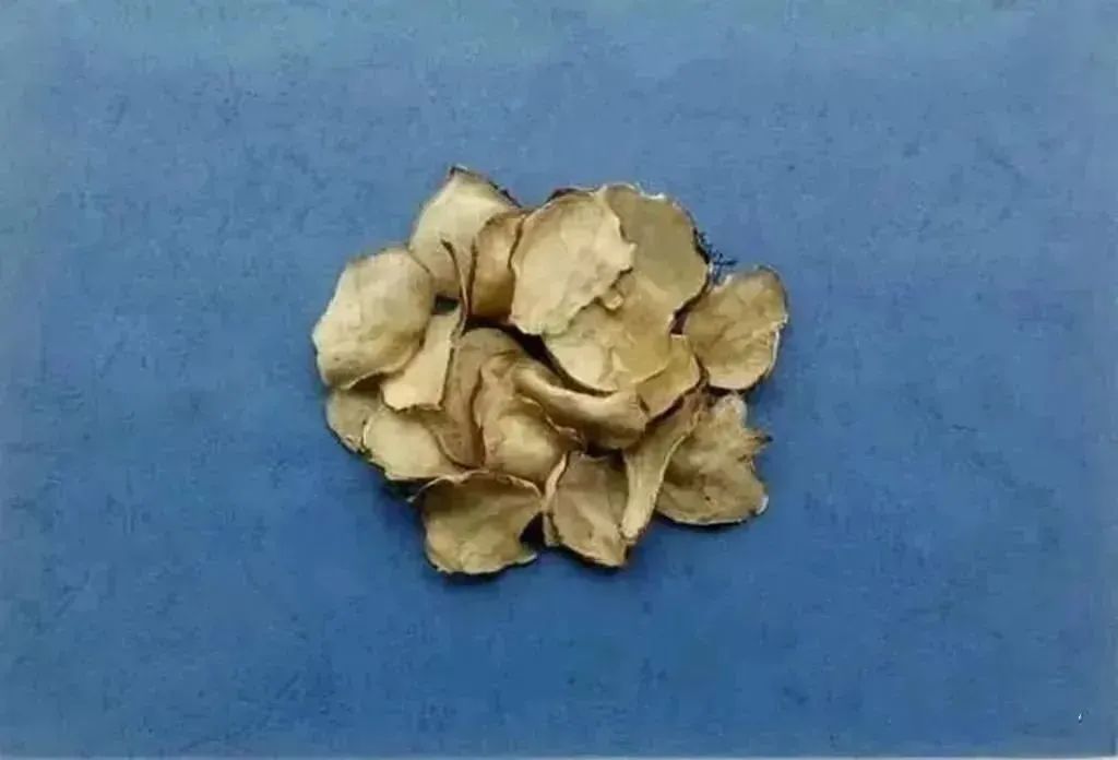 Understanding the Types of Fuzi (Aconite)