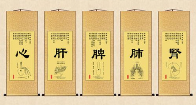 Understanding Yin and Yang Balance in Traditional Chinese Medicine: What Do Yin and Yang Represent?