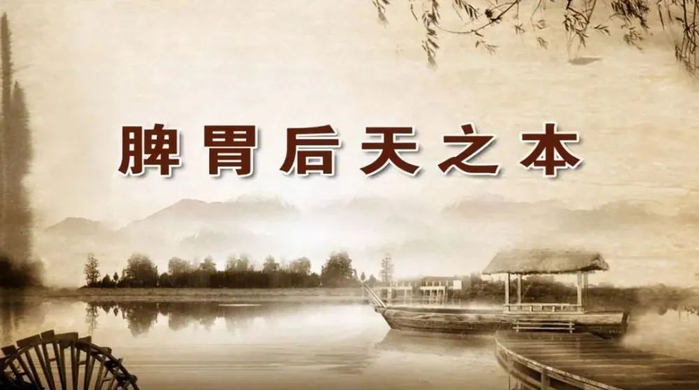 Improving Spleen and Stomach Health with Moxibustion: Nourishing the Source of Postnatal Vitality and Qi-Blood!