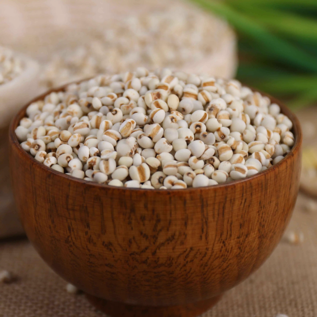 Weekly Herb Spotlight: Coix Seed (Yi Yi Ren)