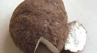The Marvelous Source of Natural Whitening: Fu Ling (Poria)