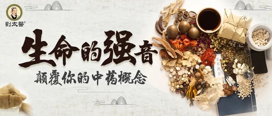 Illustrated Materia Medica: The Authentic Medicinal Herb 'Shu Di Huang'