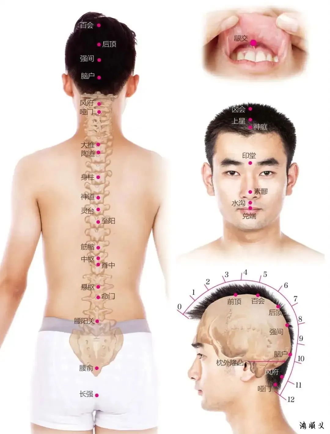 The Governing Vessel: Pathways and Clinical Applications