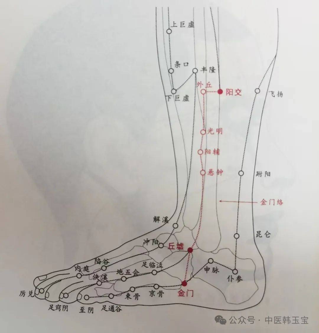 Meridian Studies I: Wu Men Meridian and Tai Yang Meridian