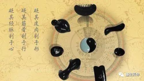 The Treasures of Traditional Chinese Medicine: The Six Major Techniques of Bian, Acupuncture, Moxibustion, Herbal Medicine, Daoyin, and Anqiao
