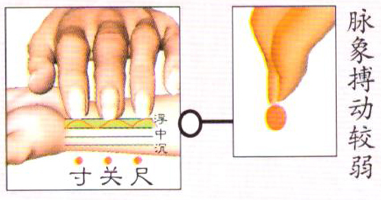 Understanding Floating Pulse in Traditional Chinese Medicine