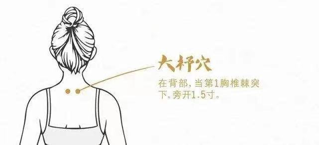 Understanding Gua Sha: What Is It Really About?