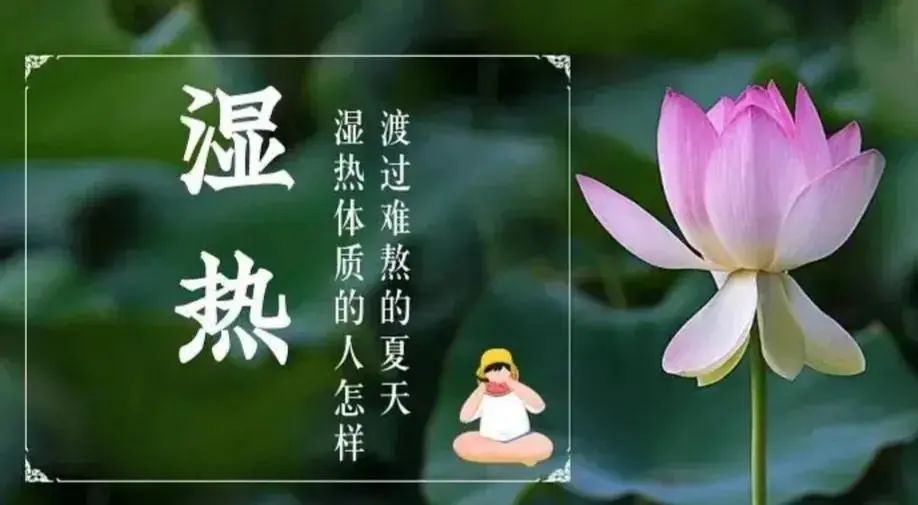 4 Traditional Chinese Medicines to Clear Heat and Resolve Dampness, Refreshing the Body