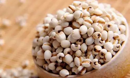 Understanding Coix Seed (Yi Yi Ren) in Traditional Chinese Medicine