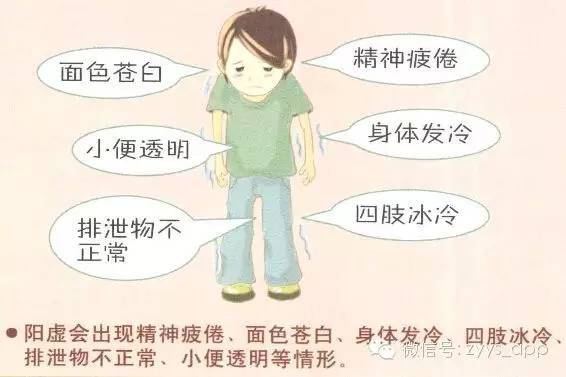 Understanding Kidney Deficiency: Symptoms and Solutions in Traditional Chinese Medicine
