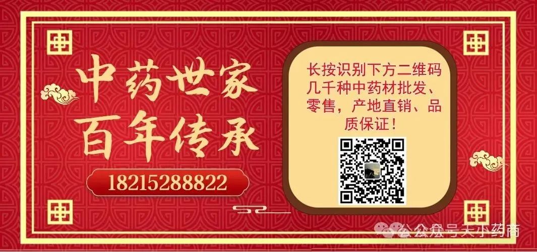 The Efficacy and Medicinal Value of Lian Qiao (Forsythia Suspensa)