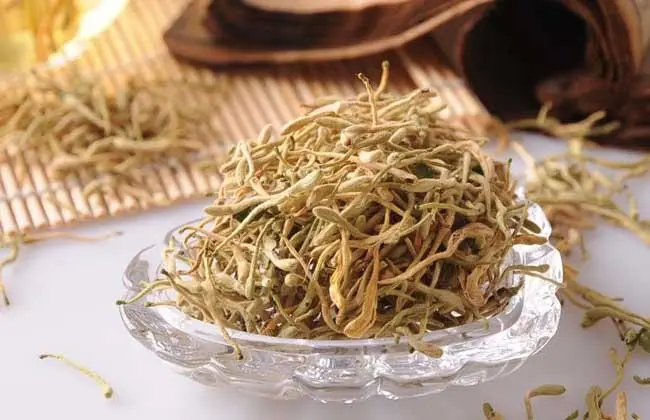The Efficacy and Functions of Honeysuckle (Jin Yin Hua)