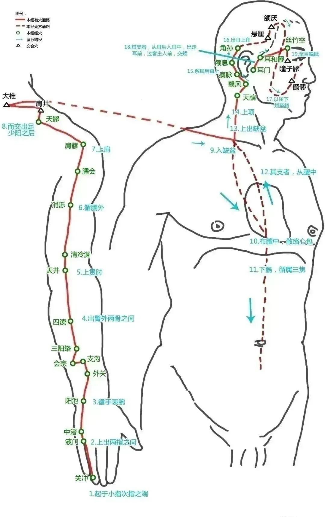 The Pathways of the Twelve Meridians and Acupuncture Points (Answer Version)