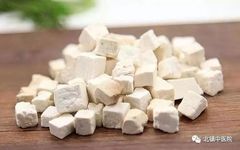 Poria (Fu Ling) - A Comprehensive Overview