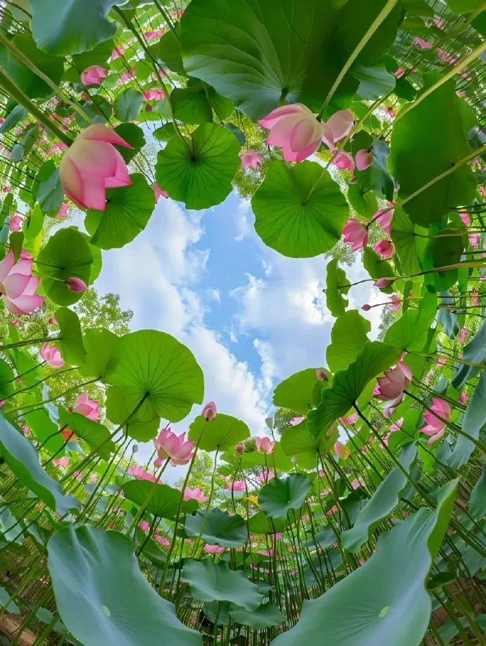 15 Health Tips for Daily Wellness: Learn a Little Each Day for Better Health