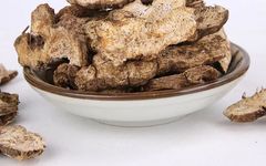 Understanding the Medicinal Properties of Cang Zhu (Atractylodes)
