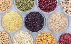 The Fundamental Role of Grains and Legumes in Health Preservation