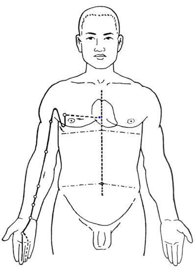 The Flow of the Twelve Meridians: A Guide to Health Maintenance Over 24 Hours