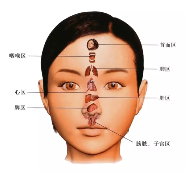 Understanding TCM Facial Diagnosis: A Comprehensive Guide