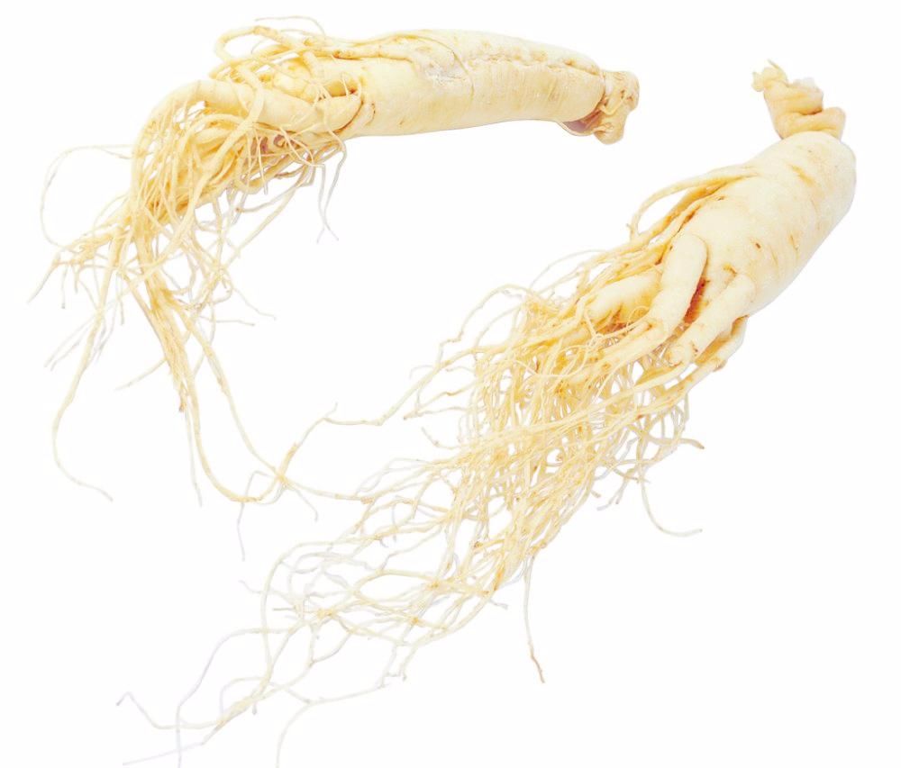 Understanding Qi Deficiency: Symptoms and TCM Approaches for Improvement