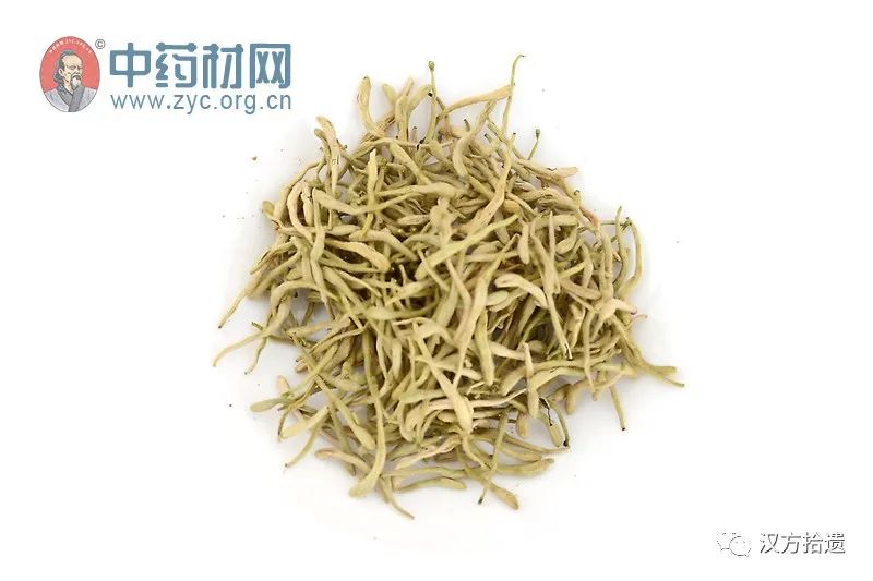 The Efficacy and Functions of Honeysuckle in Traditional Chinese Medicine