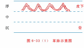 The Twenty-Eight Pulses and All Pulse Patterns in Traditional Chinese Medicine (Animated Illustrations)